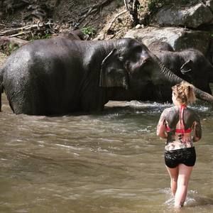 Meet your Posher, Lainie